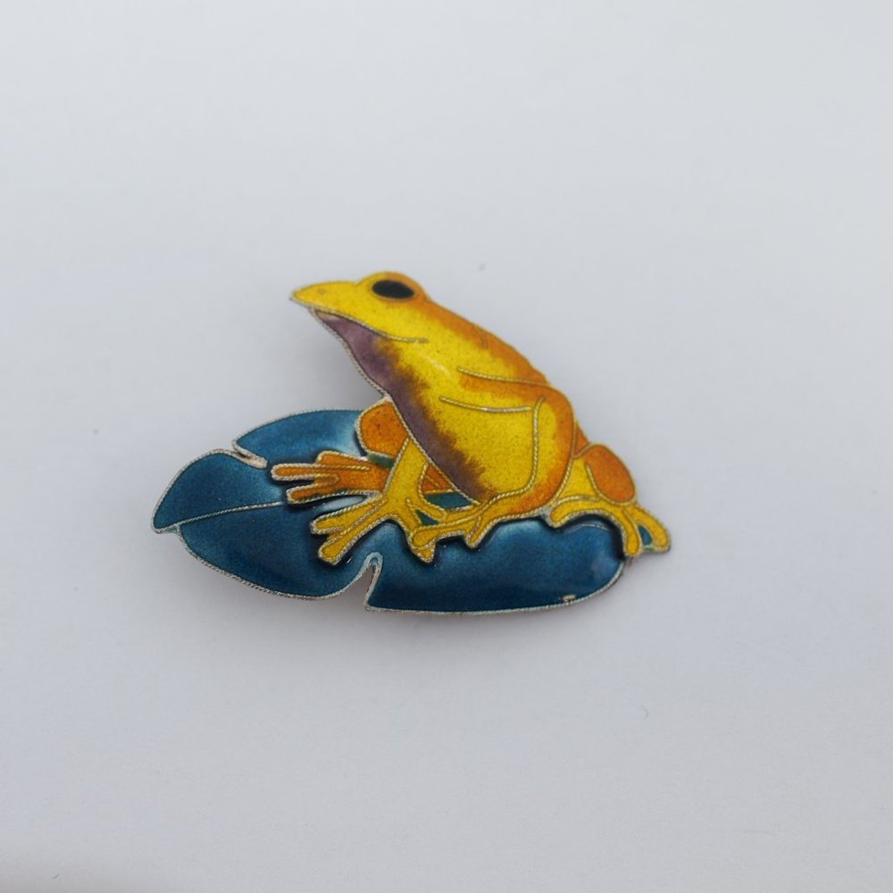 Zarah Sterling Silver Enamel Frog Pin ref#1